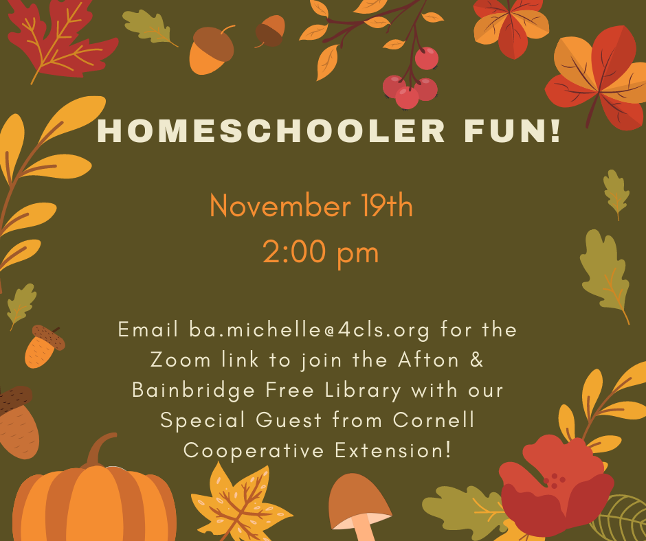 Homeschooler Fun!- Virtual Program- November 19