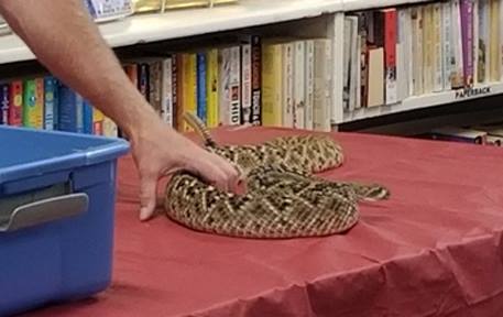 The Snakeman was Here!