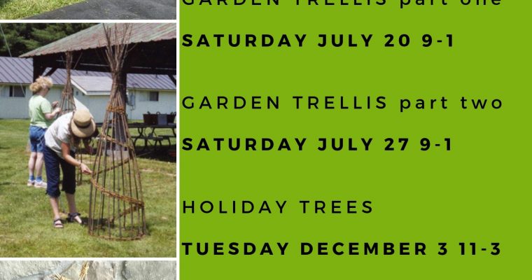 Adult Weaving Workshops