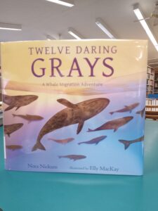 Cover for the nonfiction picture book 'Twelve Daring Grays: A Whale Migration Adventure'