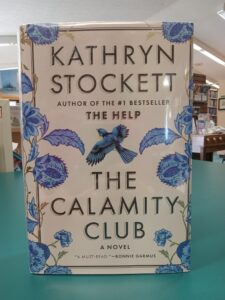 Cover for the Novel 'The Calamity Club'