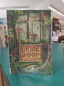 Cover for the children's novel 'Briarwood'