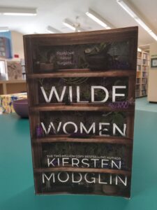 Cover for the novel 'Wilde Women'