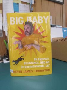 Cover for 'Big Baby" On Endings, Beginnings, and An Interdimensional Cat', with a yellow background and a man doing T-Rex arms