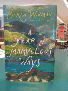 Photo of the cover for the historical fiction novel 'A Year of Marvelous Ways'