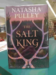 Photo of the cover for the fantasy novel 'The Salt King'