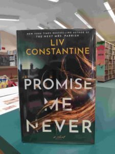 Photo of the cover for the thriller novel 'Promise Me Never'