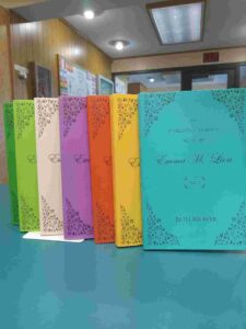 Photo of the covers of 7 volumes of 'The Unselected Journals of Emma M. Lion'
