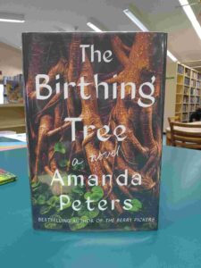 Photo of the cover for the novel 'The Birthing Tree'