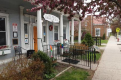 Library-in-bloom-2022-1