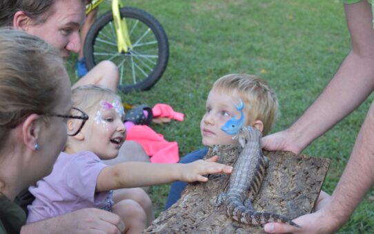 Perkins Memorial Performance Series at Hyde Park 2025 Season