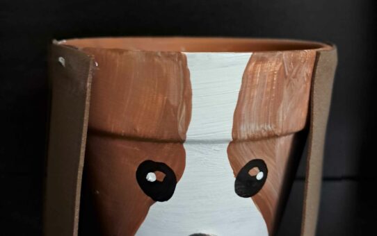 Mother's Day Family Craft Program (registration required)